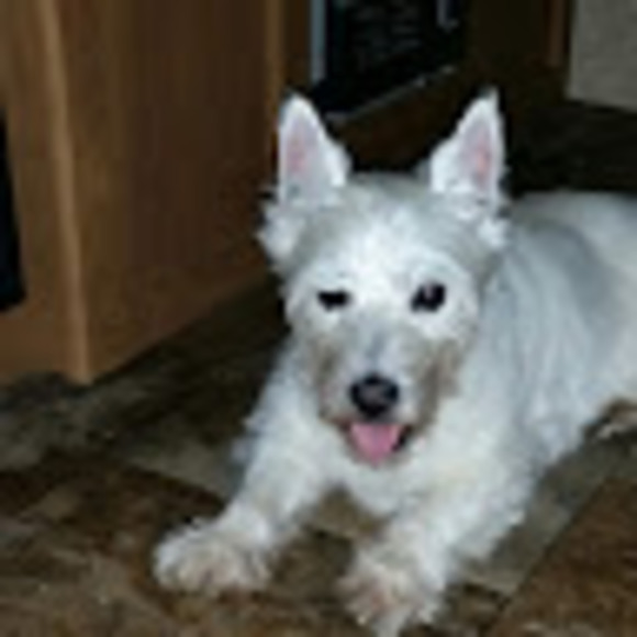 Meet your Posher, Melissa - Picture 1 of 1